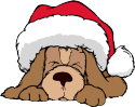 TSGWebPlus Holidog